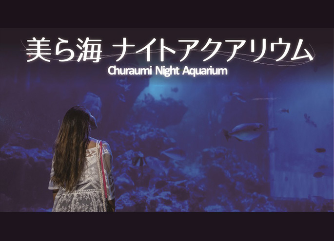 美ら海ナイトアクアリウム 開催 イベント プログラム 海洋博公園 Official Site スマートフォン版