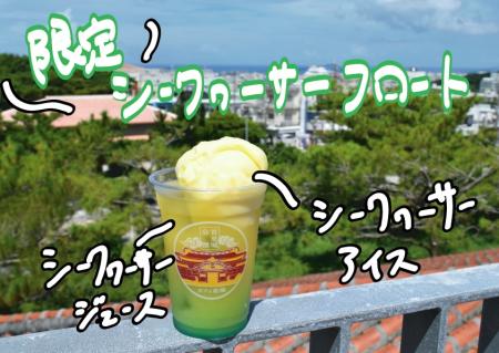 シークヮーサーフロート