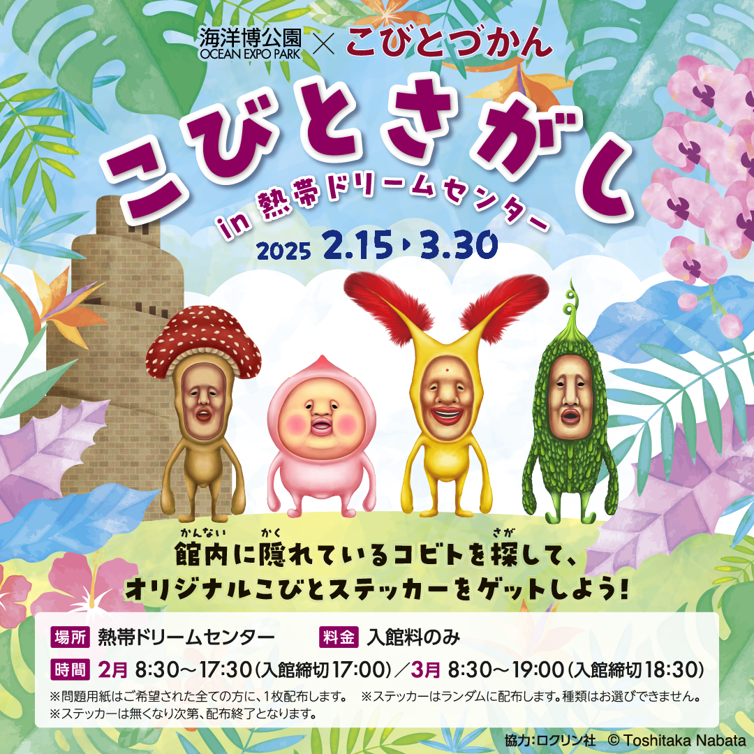 こびとさがし in 熱帯ドリームセンター | 海洋博公園 Official Site