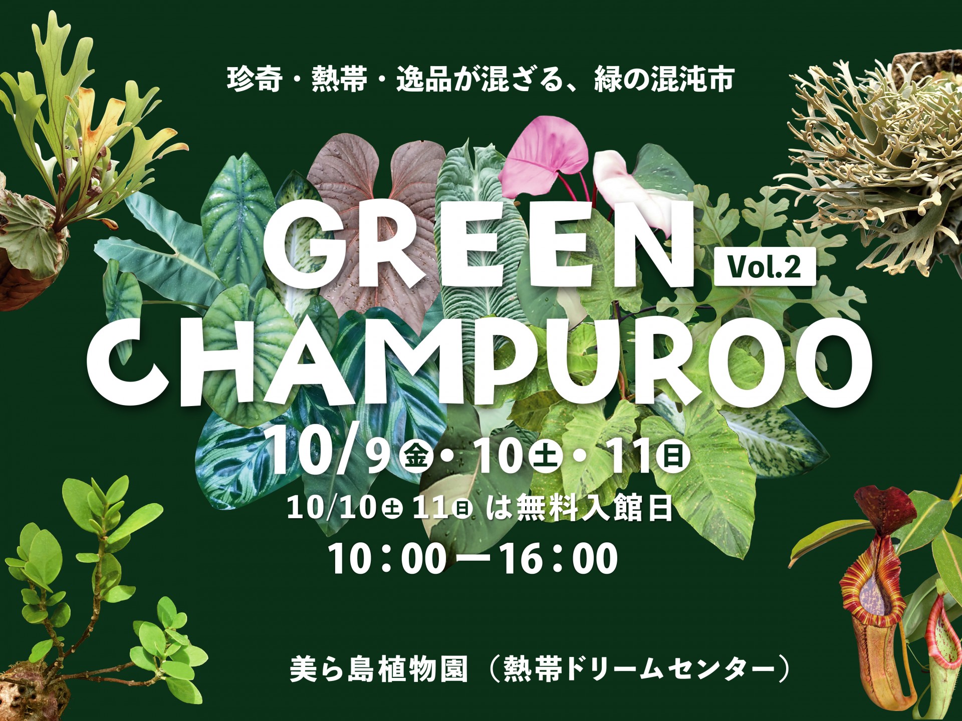 GREEN CHAMPUROO　-Vol.2-