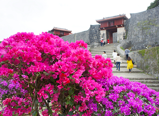 琉球の華みぐい〜王国を彩る華々に、春の訪れを感じて〜