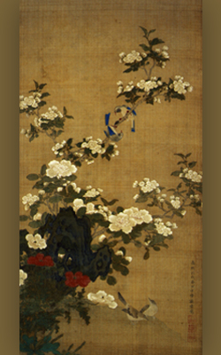 琉球王国のもよう～花鳥風月の楽しみ～ | 展示会資料集 | 首里城公園 