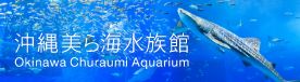 沖縄美ら海水族館