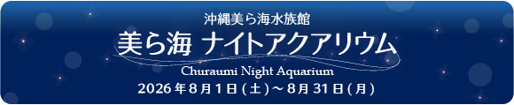 美ら海ナイトアクアバナー