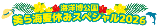 夏休みバナー