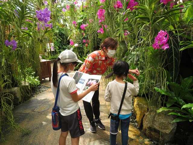 熱帯植物学習・観察ツアー